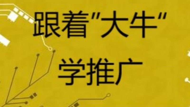 品牌词保护与竞品词对比